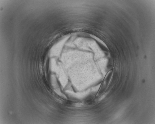 X0000068280575200605191856