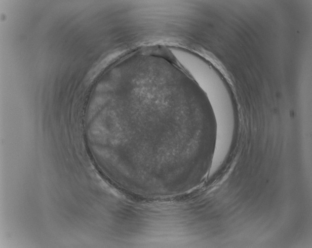 X0000068280577200605191855