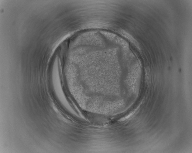 X0000068280580200605191855