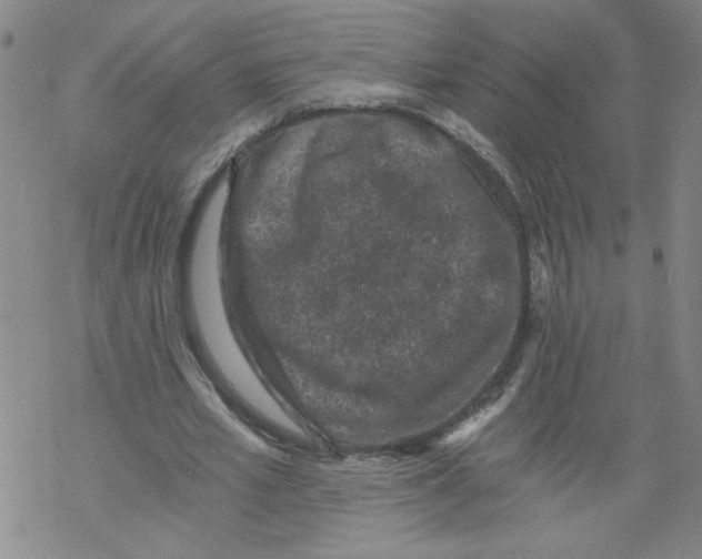 X0000068280581200605191855