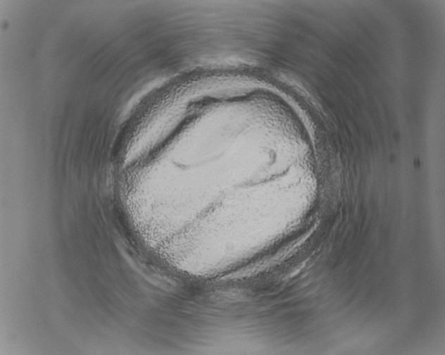 X0000068280583200605191855