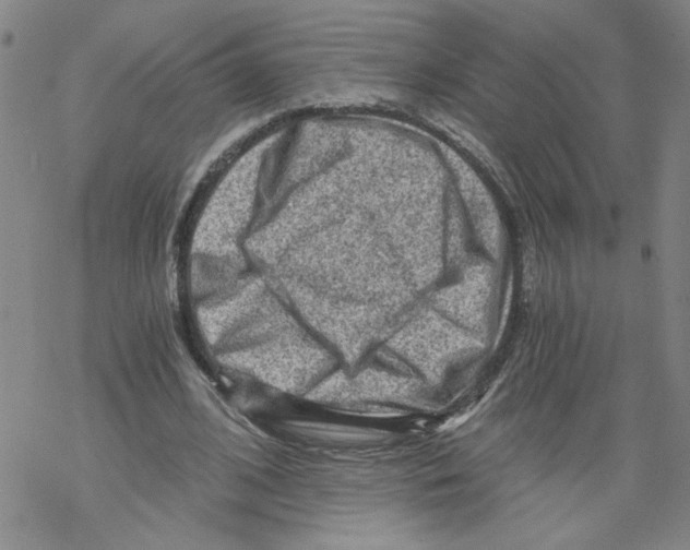 X0000068280584200605191855