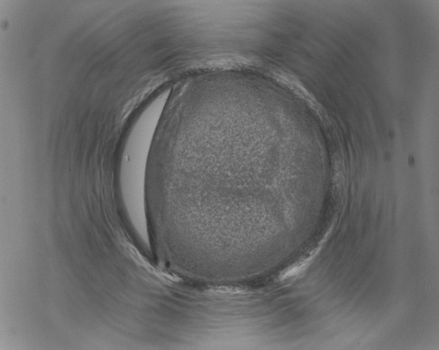 X0000068280585200605191855