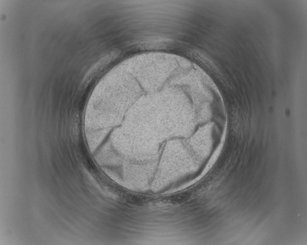 X0000068280586200605191855