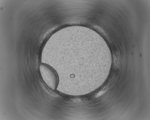 X0000068280588200605191855