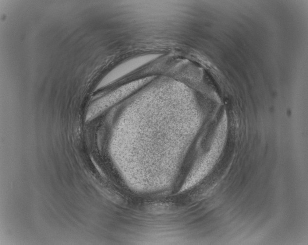 X0000068280593200605191855