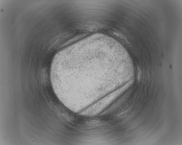 X0000068280594200605191855