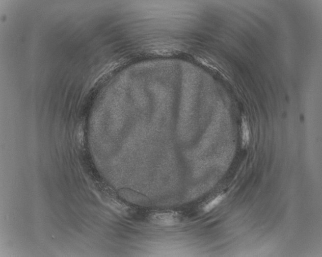 X0000068280595200605191855