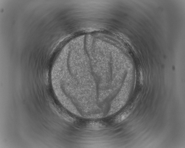 X0000068280596200605191855