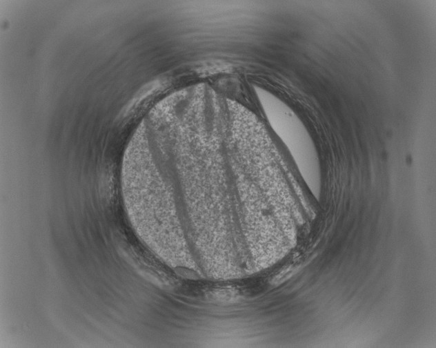 X0000068280600200605191855