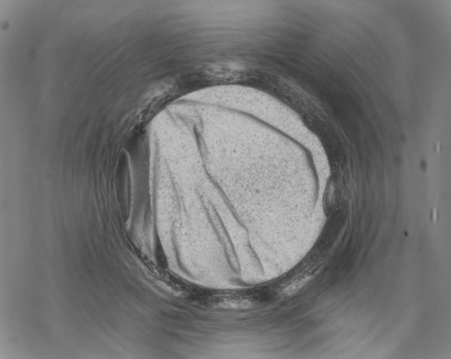 X0000068280601200605191855