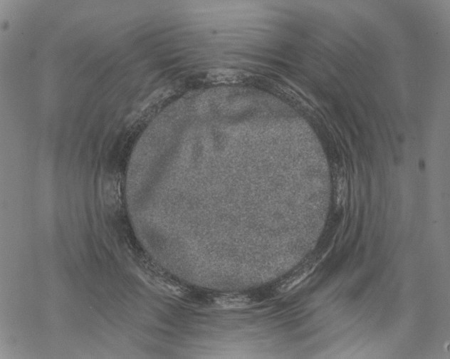 X0000068280603200605191855