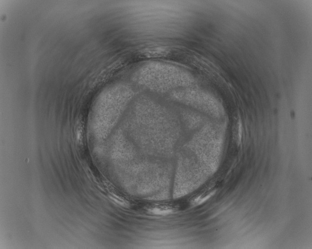 X0000068280604200605191855