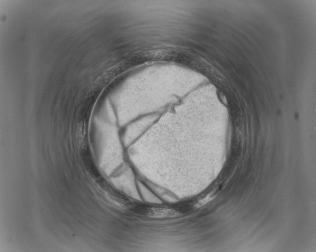 X0000068280605200605191855