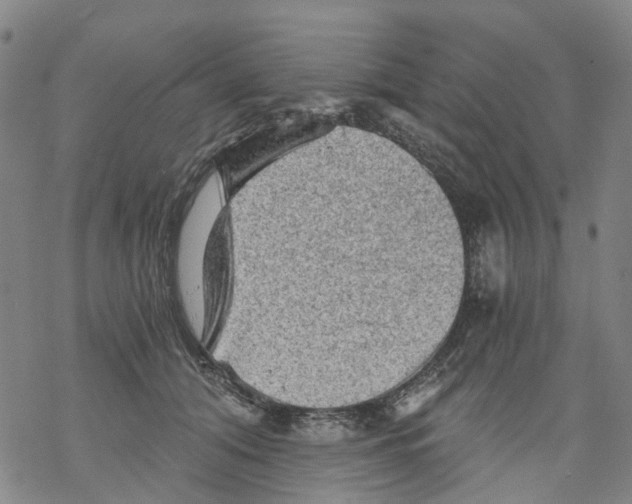 X0000068280608200605191855