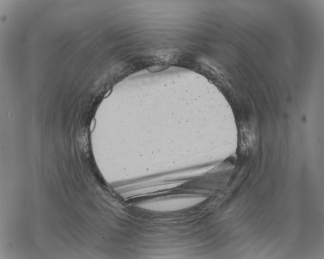 X0000068280613200605191855