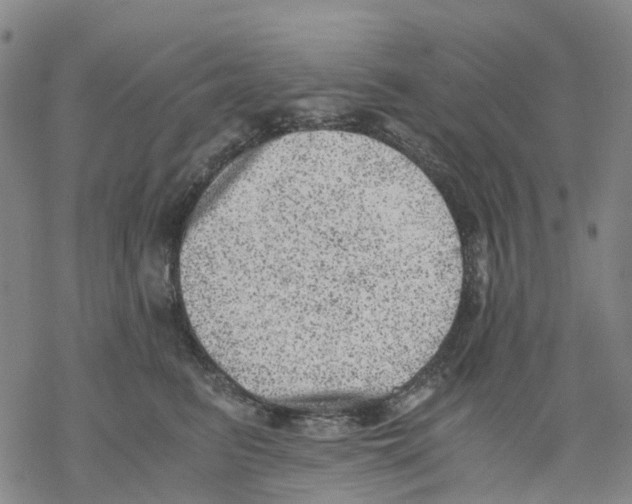 X0000068280615200605191855