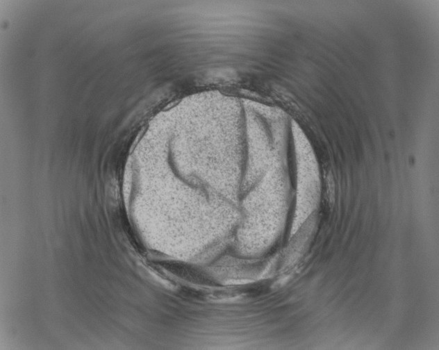 X0000068280617200605191855