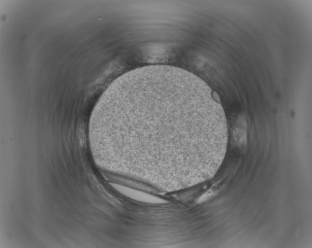 X0000068280620200605191855