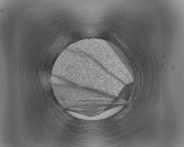 X0000068280624200605191855