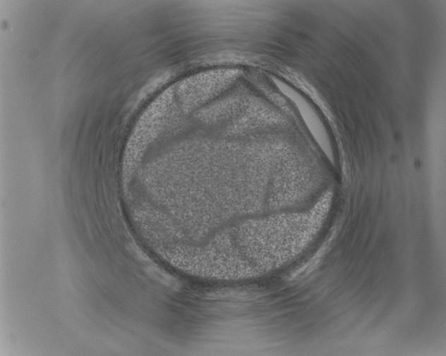 X0000068280625200605191854