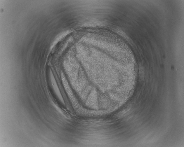 X0000068280626200605191854