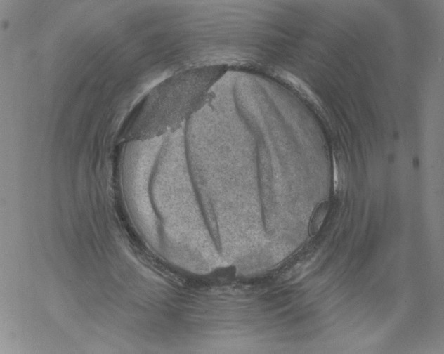 X0000068280627200605191854