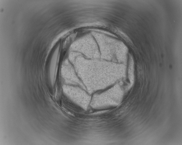 X0000068280628200605191854