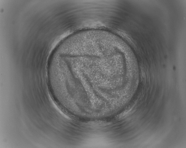 X0000068280630200605191854