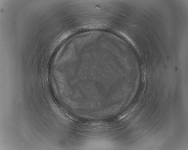 X0000068280631200605191854