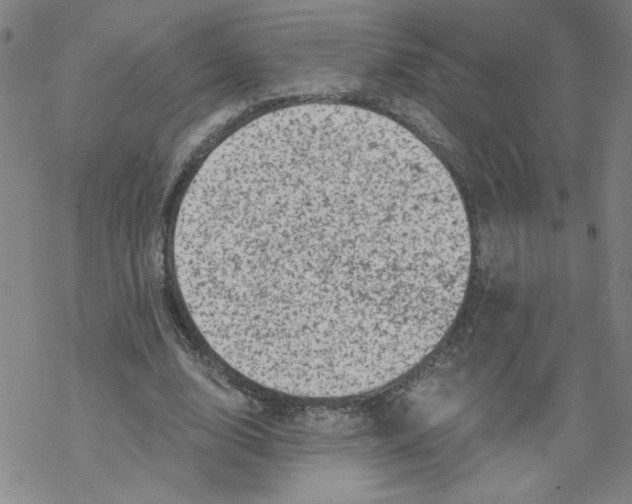 X0000068280632200605191854