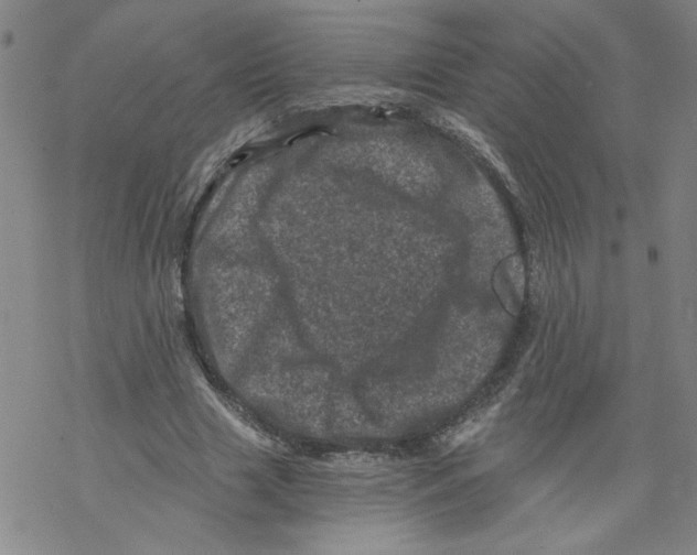 X0000068280633200605191854