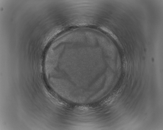 X0000068280635200605191854