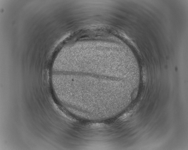 X0000068280637200605191854