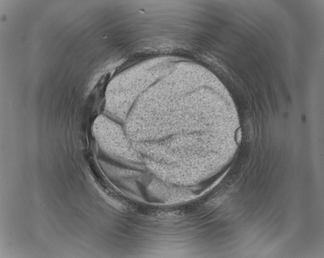 X0000068280638200605191854