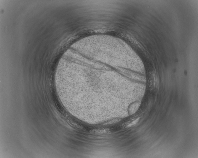 X0000068280639200605191854