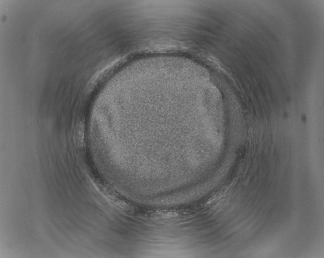 X0000068280640200605191854