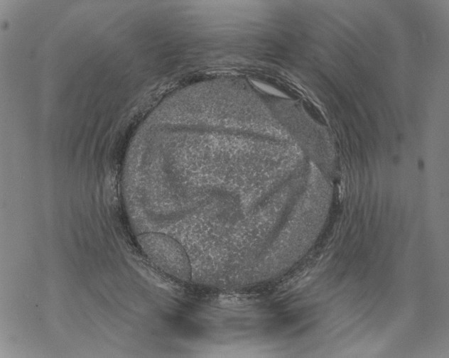 X0000068280641200605191854