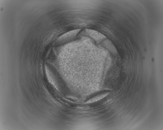 X0000068280642200605191854