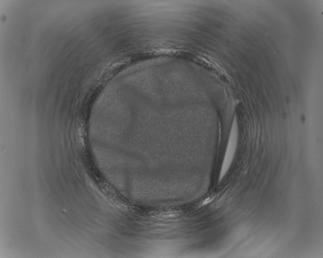 X0000068280643200605191854