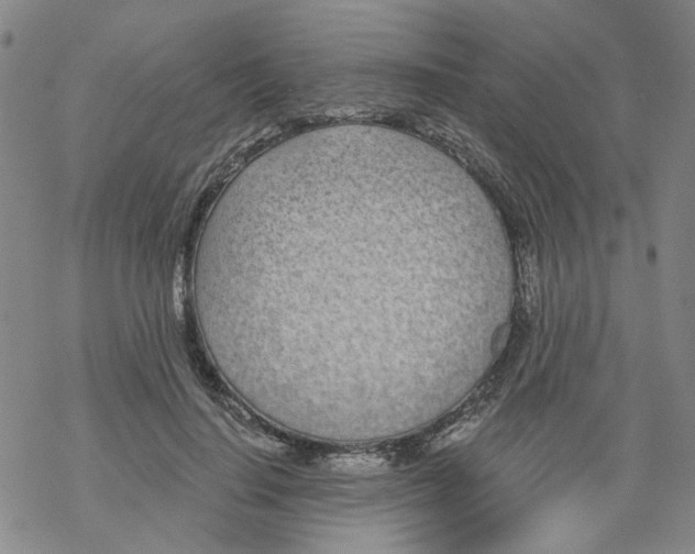 X0000068280644200605191854