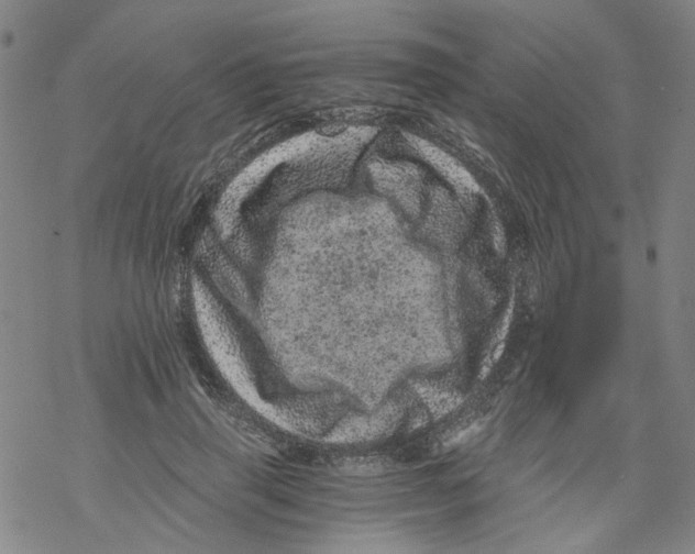 X0000068280645200605191854