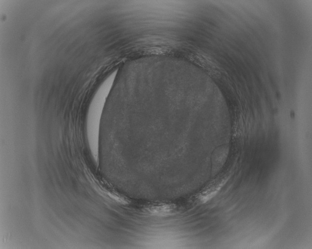 X0000068280646200605191854