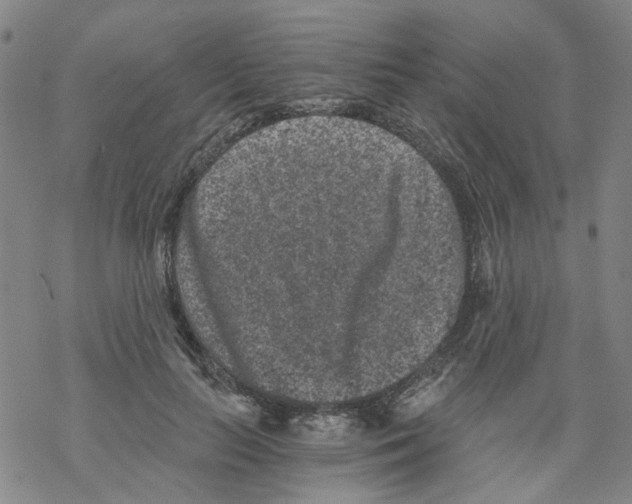 X0000068280647200605191854