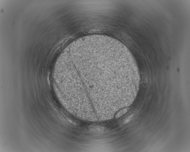 X0000068280648200605191854