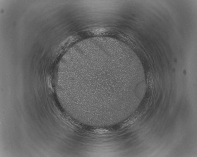 X0000068280650200605191854