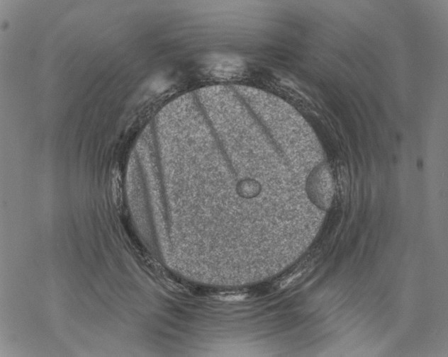 X0000068280651200605191854