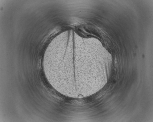 X0000068280652200605191854