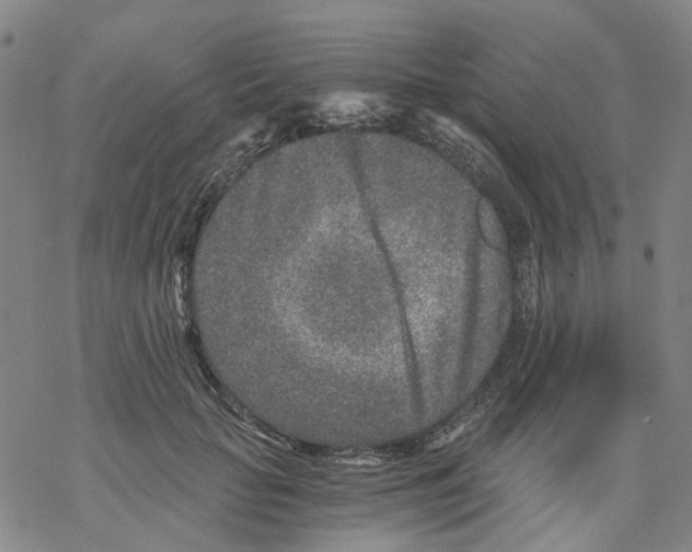 X0000068280653200605191854