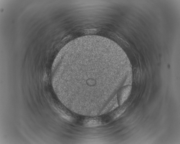 X0000068280655200605191854